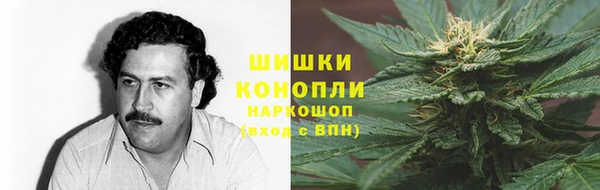 дживик Осташков