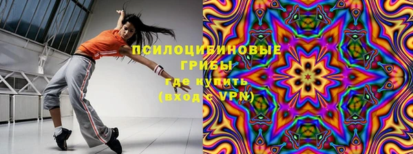 дживик Осташков