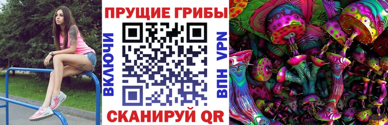 Псилоцибиновые грибы мухоморы  кракен онион  Мосальск 